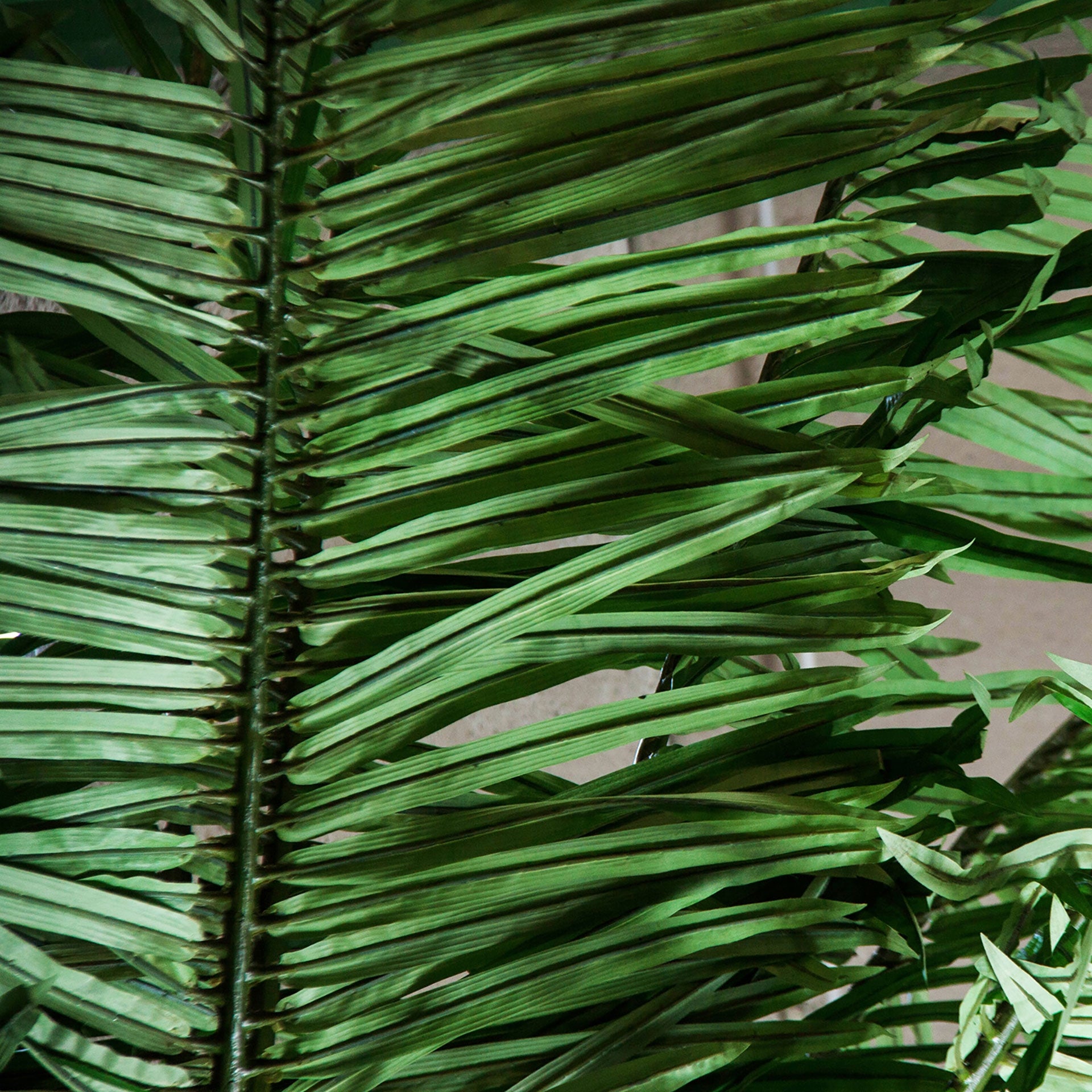 PALMERA XXL - Palmera artificial 550 cm