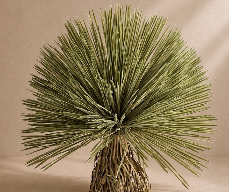 ROSTRATA - Árbol artificial Yucca Rostrata 175 cm