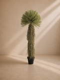 ROSTRATA - Árbol artificial Yucca Rostrata 175 cm
