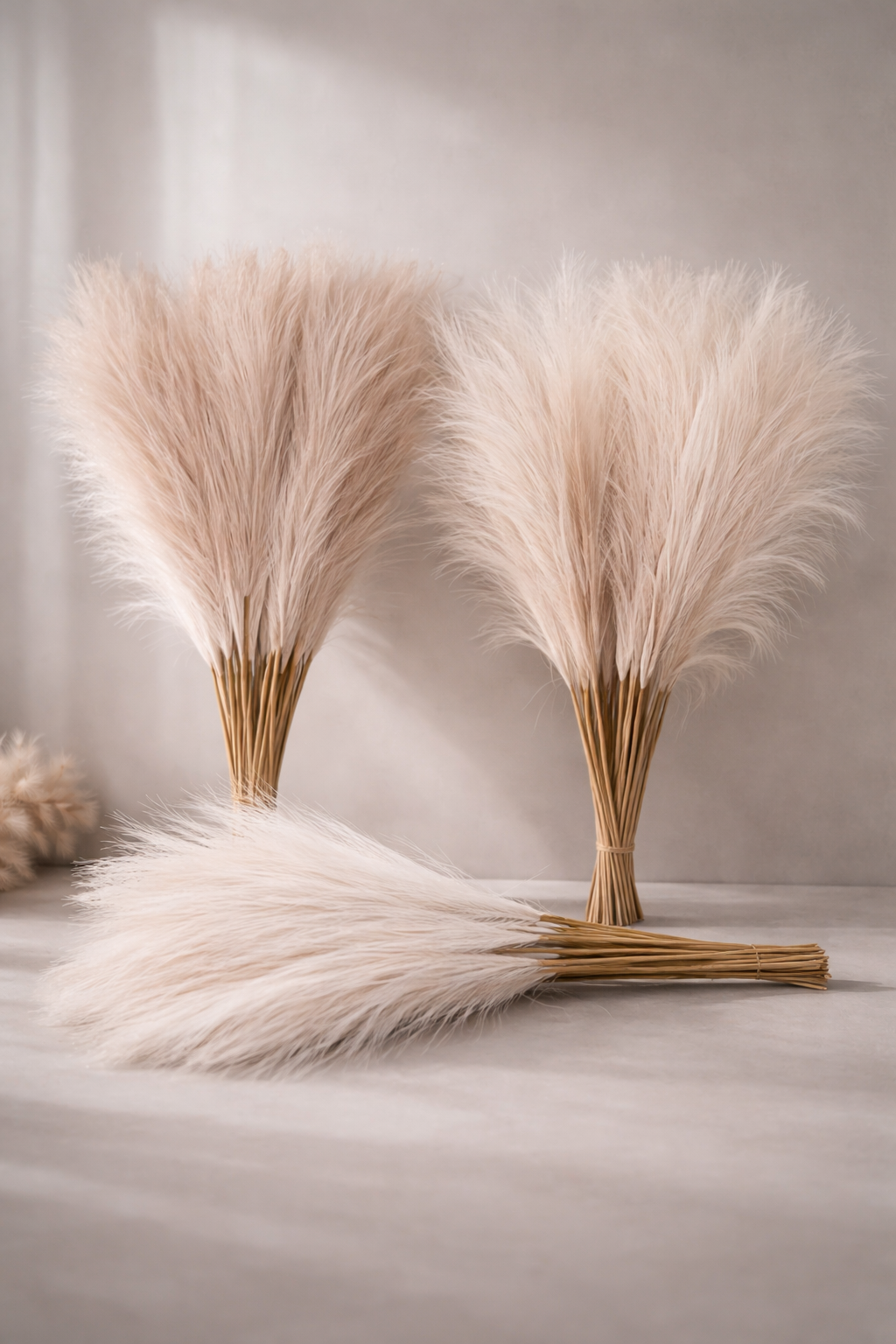 PAMP - Ramo de hierba de la pampa natural - Elegancia bohemia